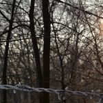 pomoc psychologa na granicy